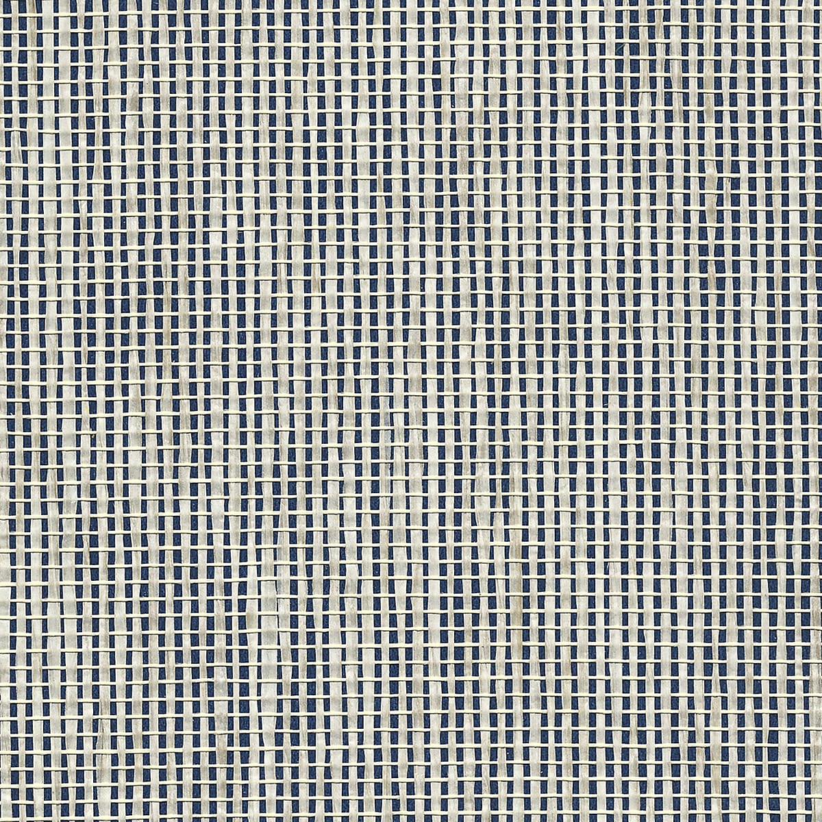 Coastal Weaves - Nautical Navy