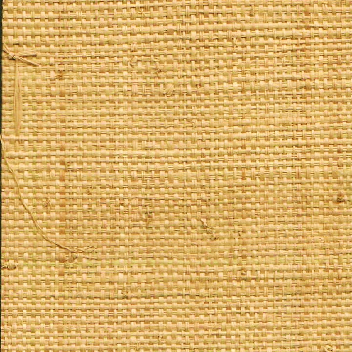 African Raffia - Capri Natural