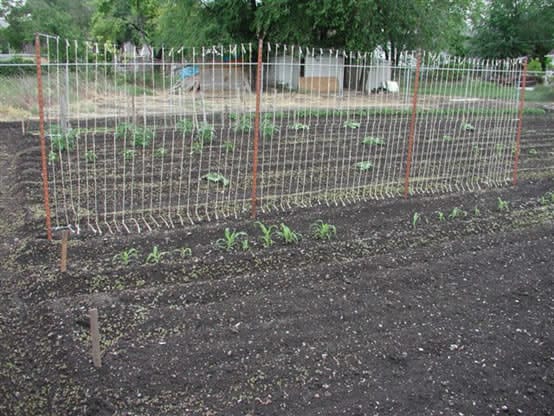 String Trellis