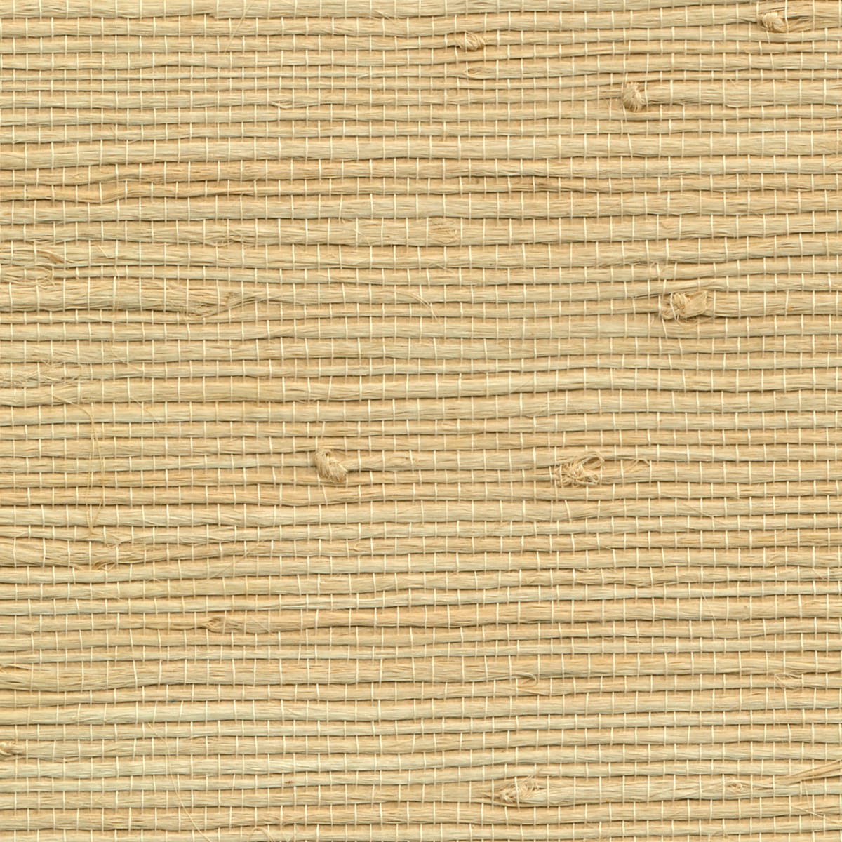 Discontinued/juicy Jute Grasscloth - Granola