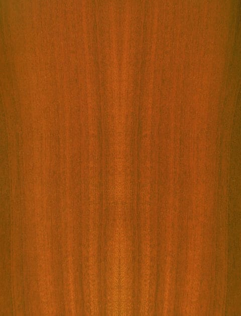 Sapele