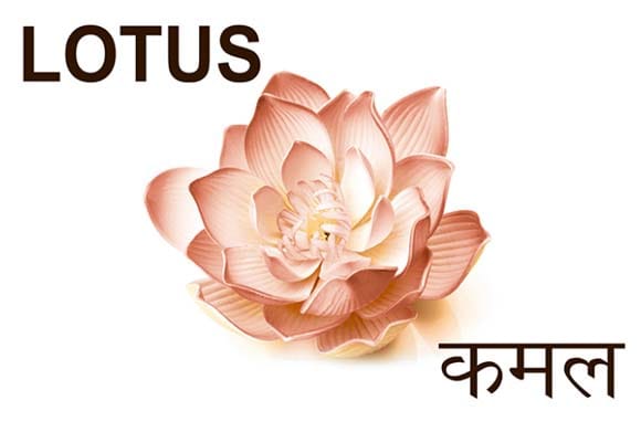 Mural Name_Flowers-Lotus