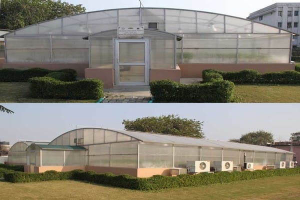 Transgenic Green House