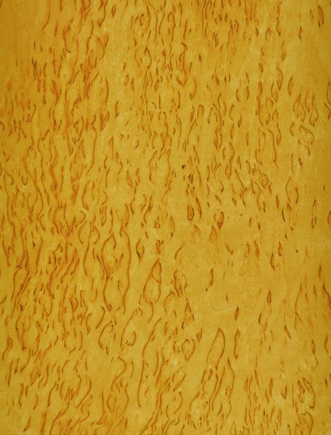 Birch, Karelian; Birch, Burl