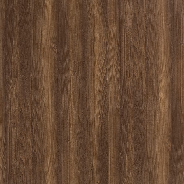 American Walnut