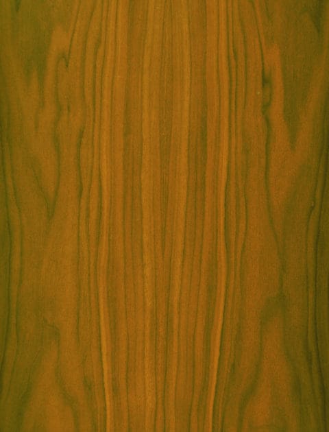 Walnut, Black Walnut, American Walnut