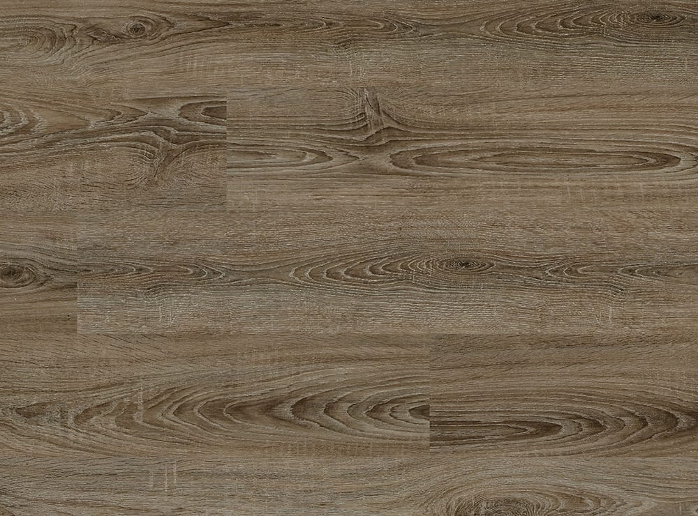 Alpine Ash Vv022-00806