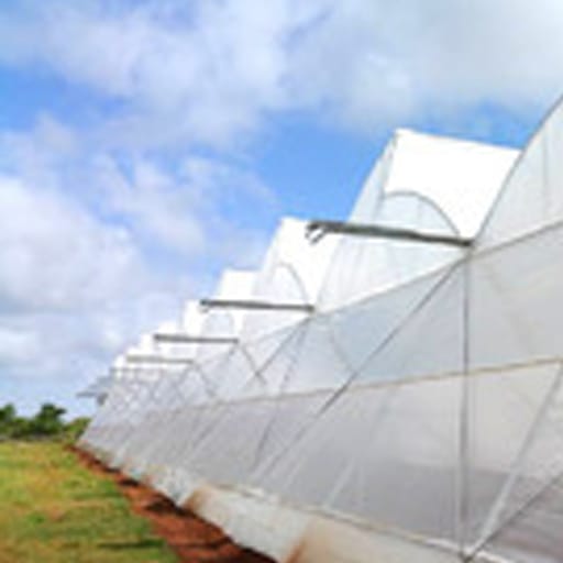 Drip Lock Clear Greenhouse Covering Film