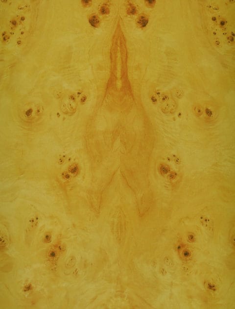 Mapa Burl