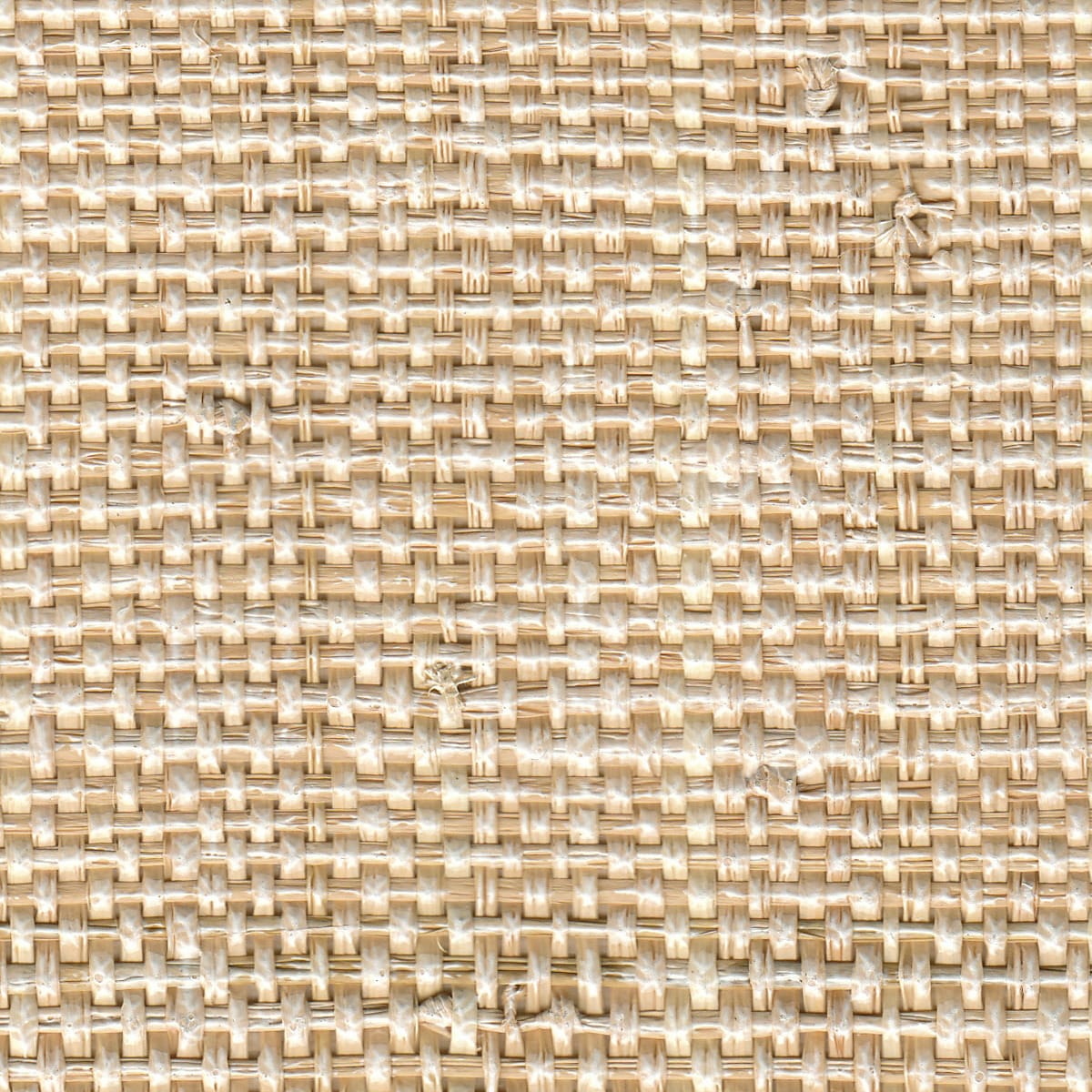 African Raffia - White Wash