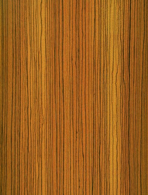 Zebrawood