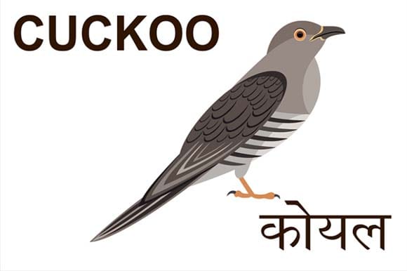 Mural Name_Birds-Cuckoo