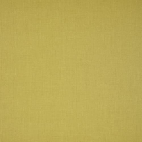 Gesso Wallpaper Citrus