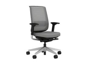 Mesh Back, Adjustable Arms, Upholstered Seat + Casters