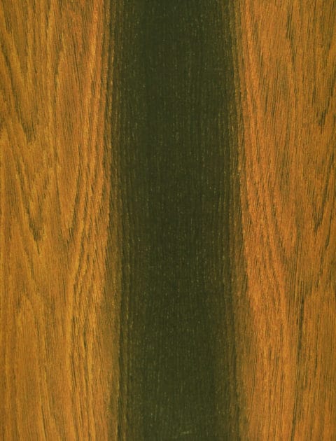 Bog Oak