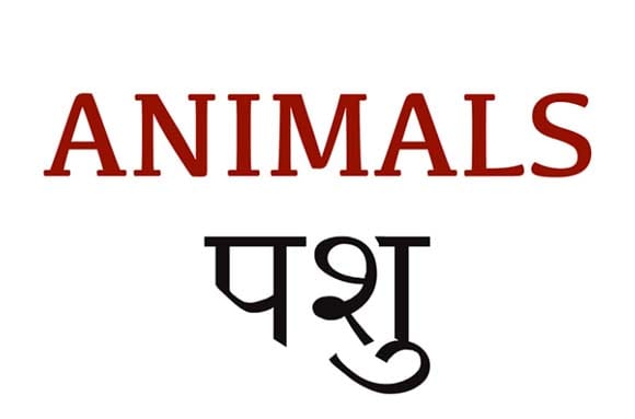 Mural Name_Animals-Animals