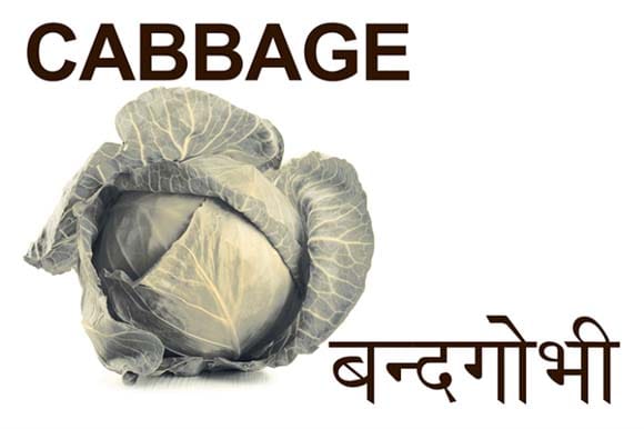 Mural Name_Vegetables-Cabbage