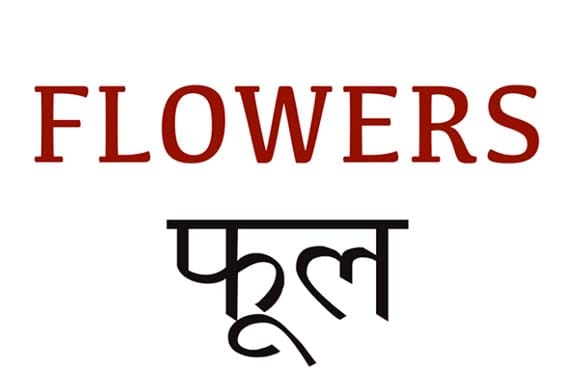 Mural Name_Flowers-Flowers