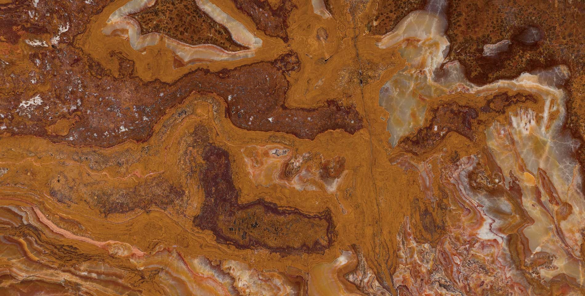 Jurassic Brown Onyx