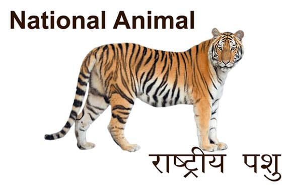 Mural Name_National Symbols-National Animal