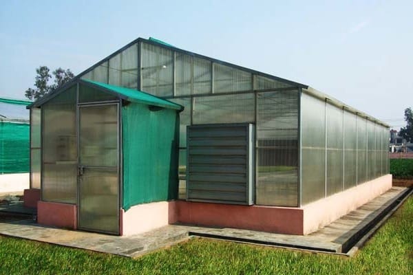 Aeroponic System