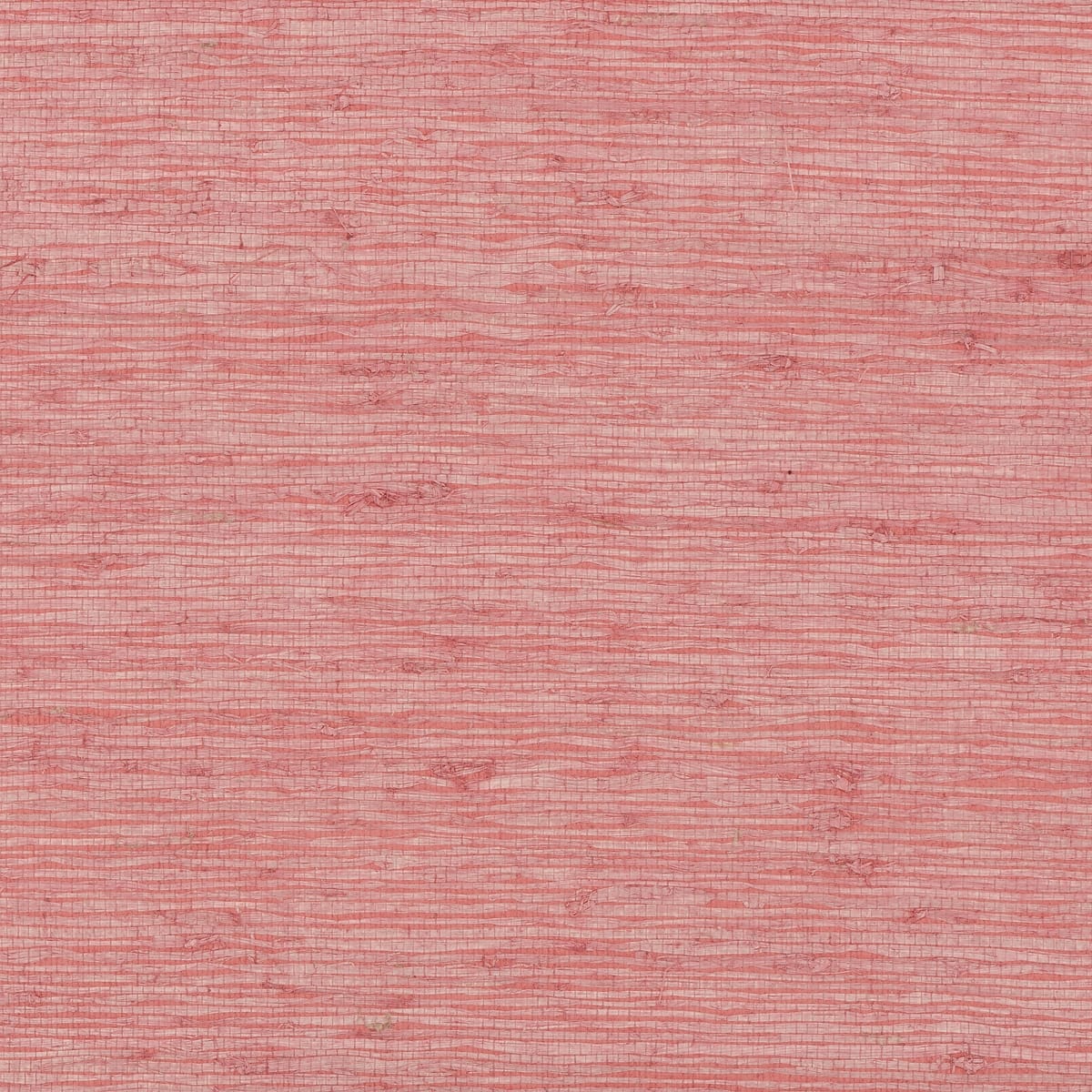 Extra Fine Arrowroot - Coral Red