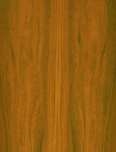 Walnut, European