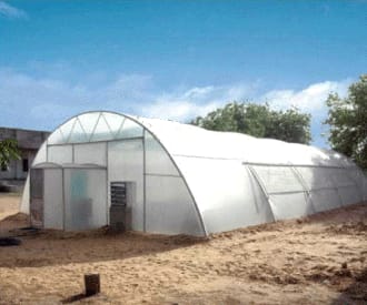 Greenhouse With Fan And Pad