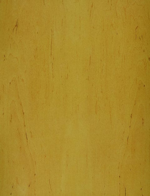 Alder