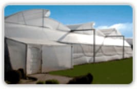 Multispan Greenhouse With Top Ventilation