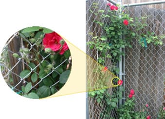 Chain Link Trellis