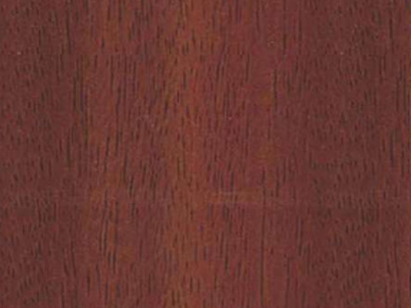 908 SF Sapelli Virgo Croma 8 ft x 4 ft Wood Grain Finish Decorative Laminate - 1 mm