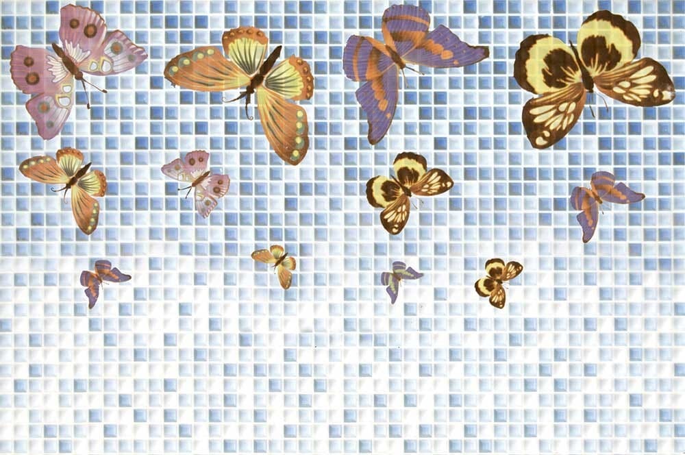 New Adora Butterfly