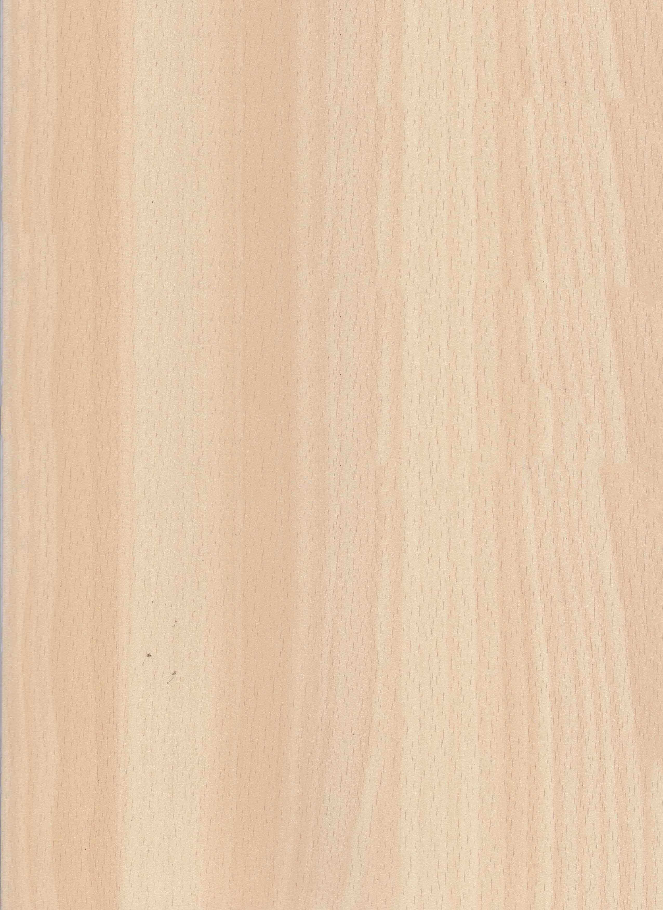 Chalk-Maple-Beech_83311