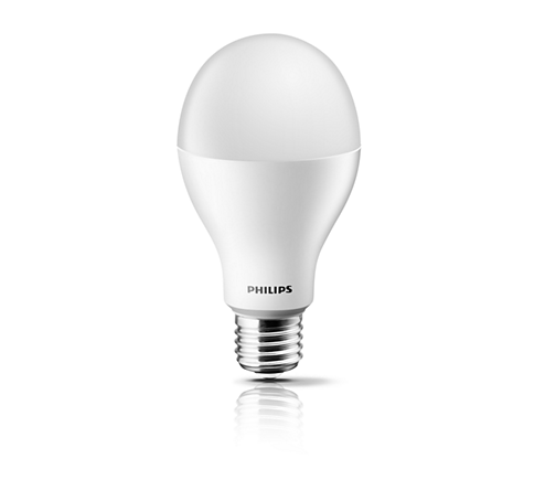  LED Bulb 