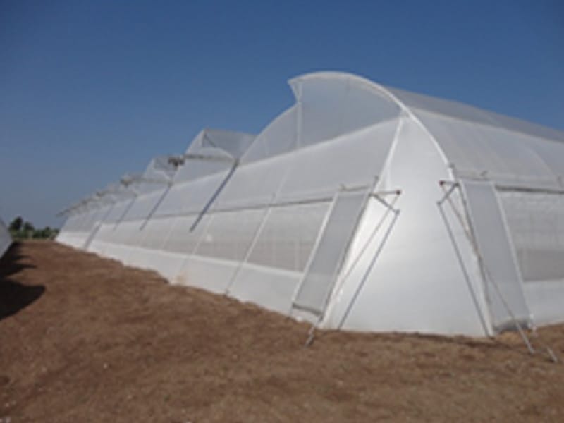 Polyhouse Below Retractable Shadenet