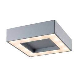  LED Ceiling Light