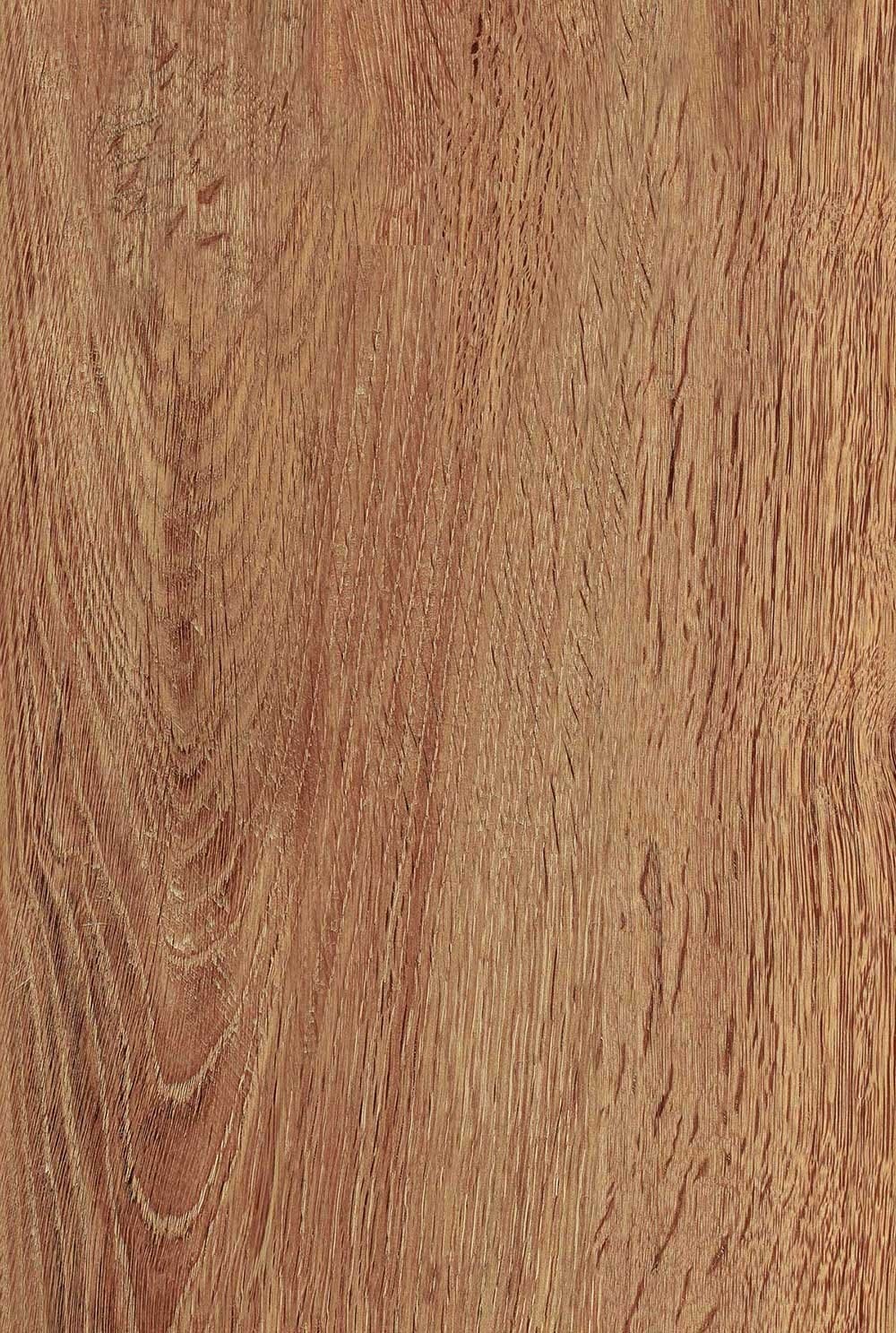 Amazon Wood Brown