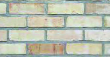 Accent White Blend Facing Brick