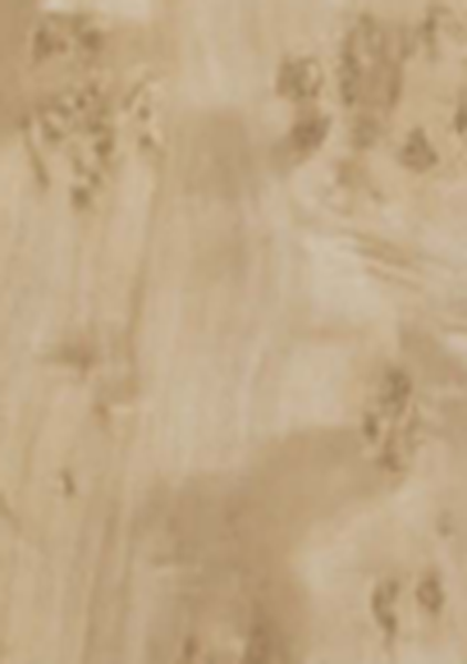 2861 SF Light Burl Virgo Croma 8 ft x 4 ft Wood Grain Finish Laminate - 0.8 mm