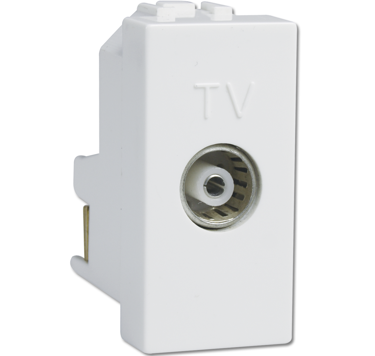 TV Socket- White