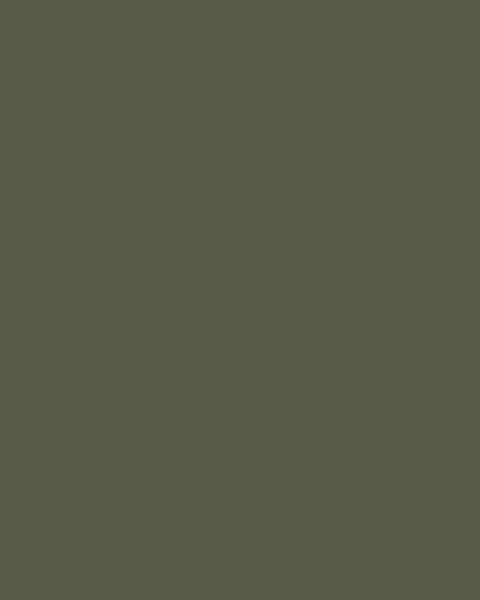 ZM 139 Chic Green 8 ft x 4 ft Zero Matt Finish Vibron Laminate - 1 mm