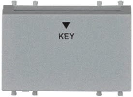 20A, Time Delay D.P Electronic Switch With Key Tag