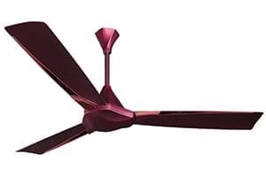 Twirl Ceiling Fan