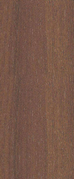 807 GS Coris Ash Virgo Croma 8 ft x 4 ft German Ash Finish Decorative Laminate - 1 mm