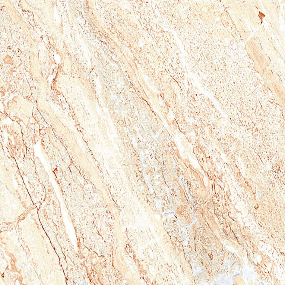 Breccia Beige 