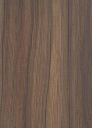 453 Java Walnut