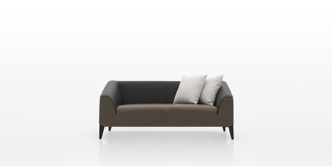 Leather Sofa(2 Seat Sofa)