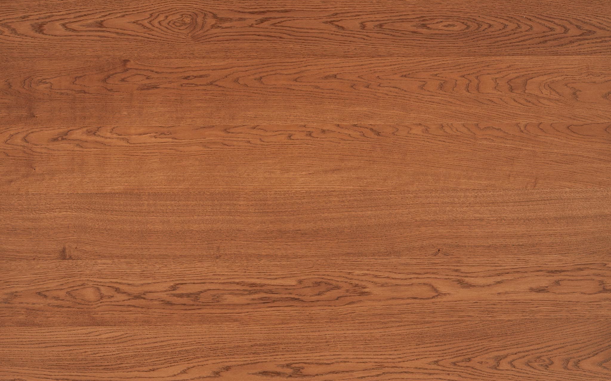 Oak Carvi