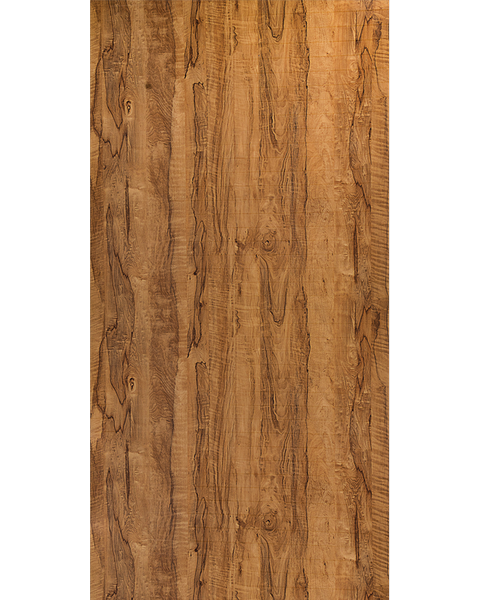 TV 831 Coral Wood 8 ft x 4 ft Track Venza Finish Vesta Laminate - 0.8 mm